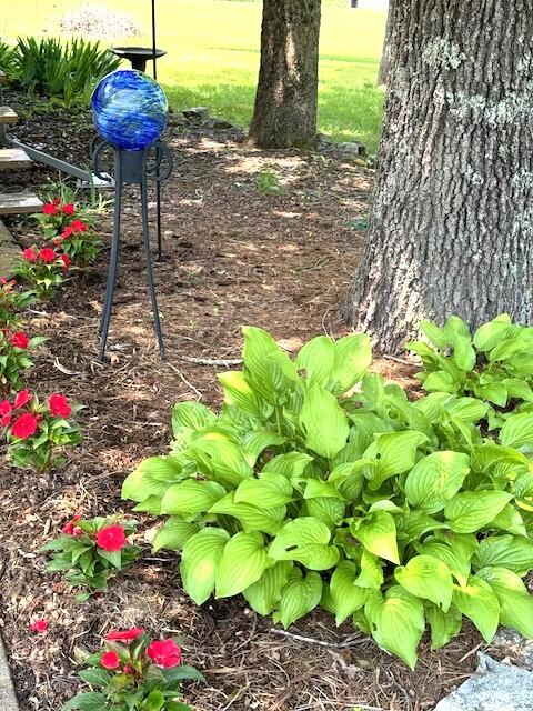 7015 Potts Creek Road Covington, VA 24426 - Photo 33 of 53 IMG_8984