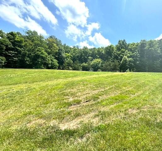7015 Potts Creek Road Covington, VA 24426 - Photo 45 of 53 IMG_9047