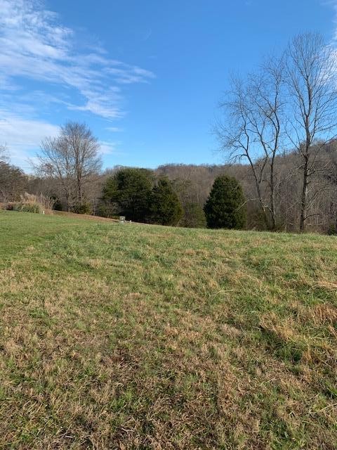 135 Hughes Road Greenback, TN 37742 - Photo 10 of 15