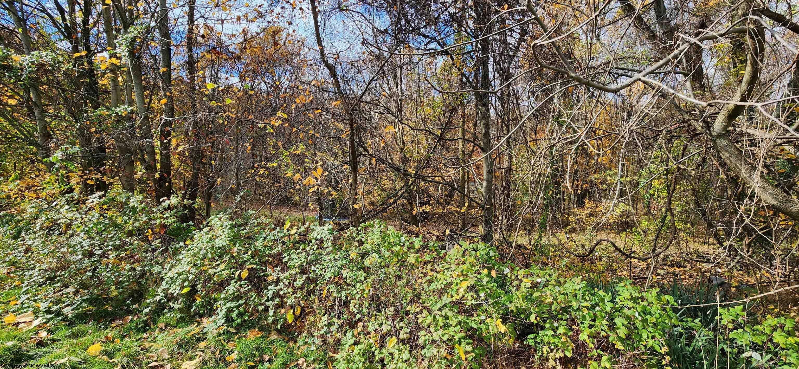 736 Beulah Road Morgantown, WV 26508 - Photo 26 of 26 Gallery Image 26