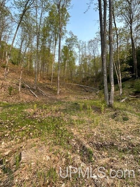 9 County Road 510 Negaunee, MI 49866 - Photo 14 of 22
