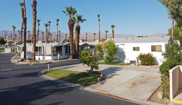 a view of a water with palm trees