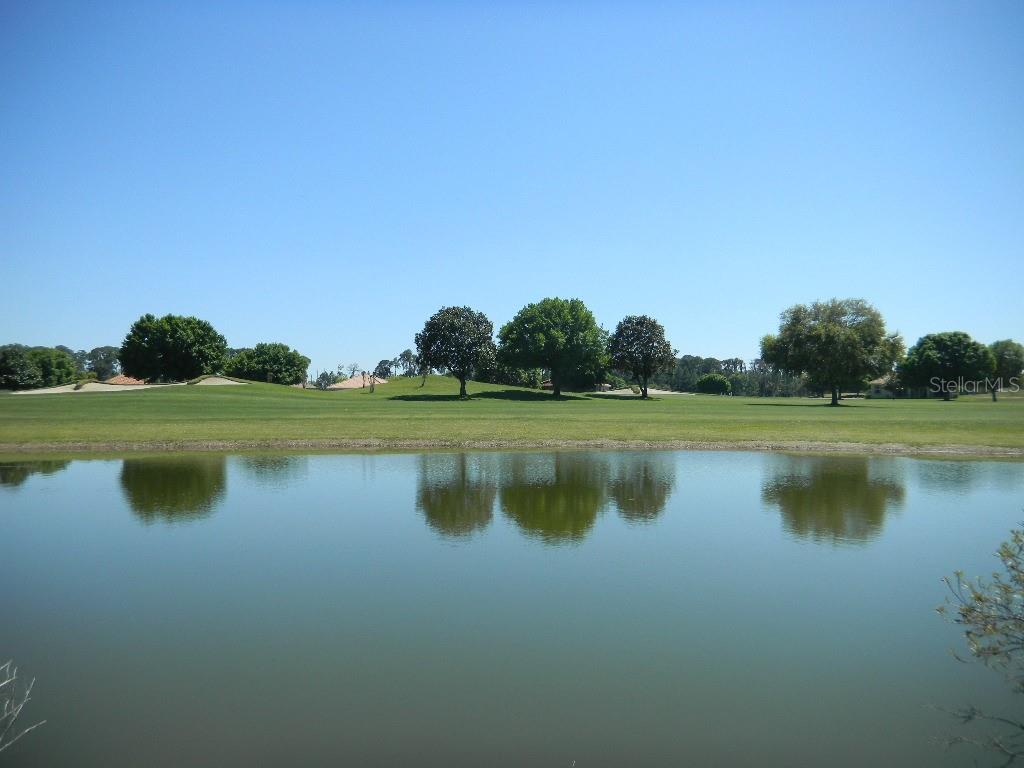 a view of a lake with a yard