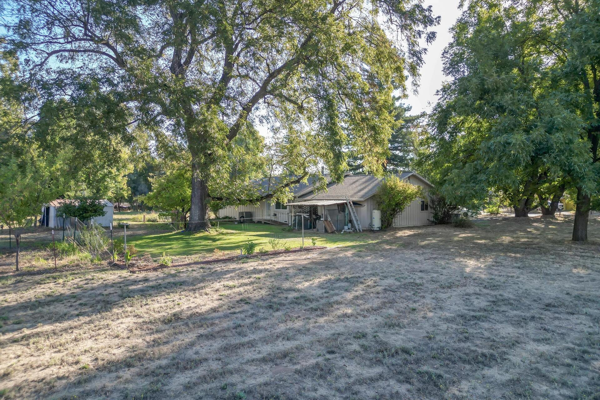 3250 Rupert Road Anderson, CA 96007 - Photo 7 of 39 3250 Rupert