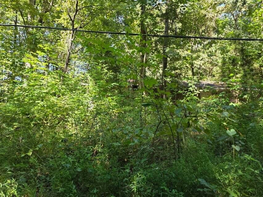 2742 Michigan Ave Road Northeast Cleveland, TN 37323 - Photo 2 of 2 20250830132327579226000000-o