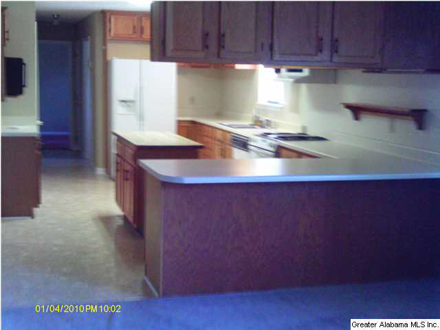 3795 Marvel Road Brierfield, AL 35035 - Photo 5 of 12