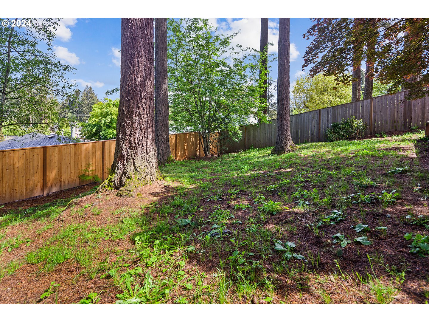 4243 Southwest Stephenson Street Portland, OR 97219 - Photo 46 of 48 a view of backyard with tree