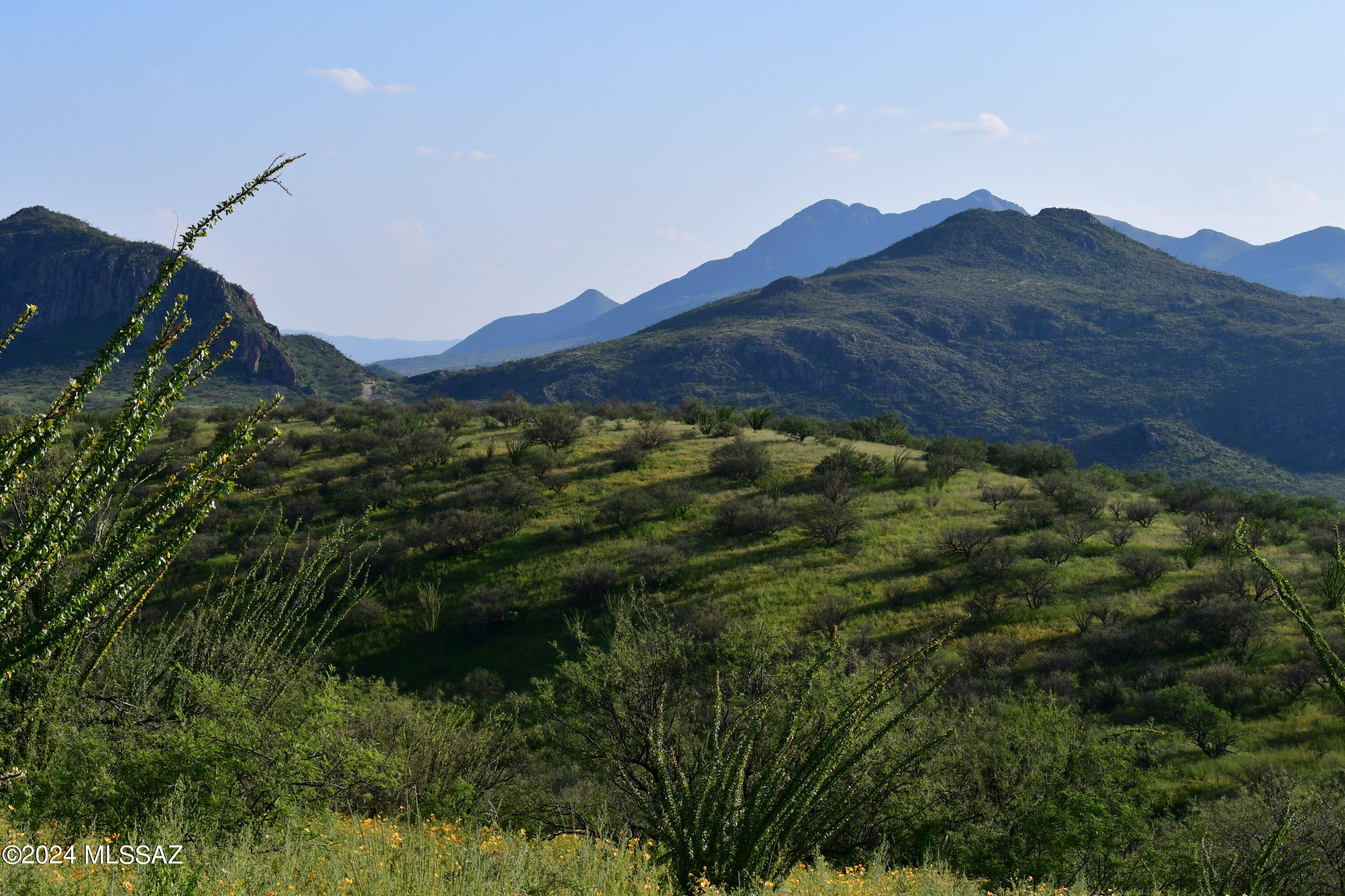0 Poorwill Canyon Road, Unit 9 Rio Rico, AZ 85648 - Photo 16 of 25