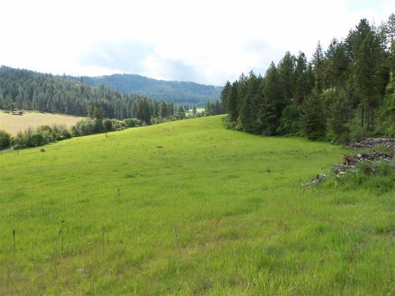 Tbd Anderson Road North Gifford, WA 99131 - Photo 2 of 19