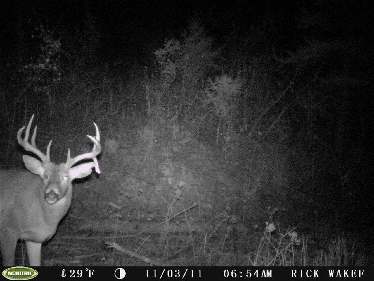Tbd Anderson Road North Gifford, WA 99131 - Photo 12 of 19