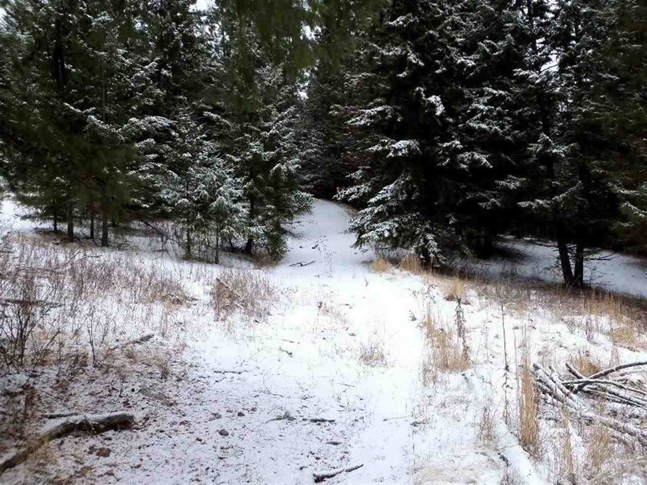 Tbd Anderson Road North Gifford, WA 99131 - Photo 15 of 19