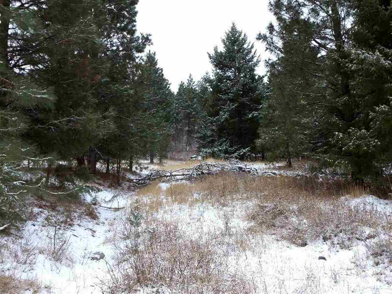 Tbd Anderson Road North Gifford, WA 99131 - Photo 16 of 19