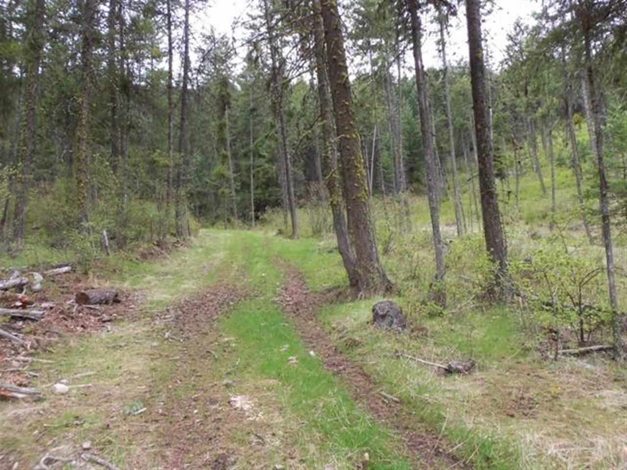 Tbd Anderson Road North Gifford, WA 99131 - Photo 18 of 19
