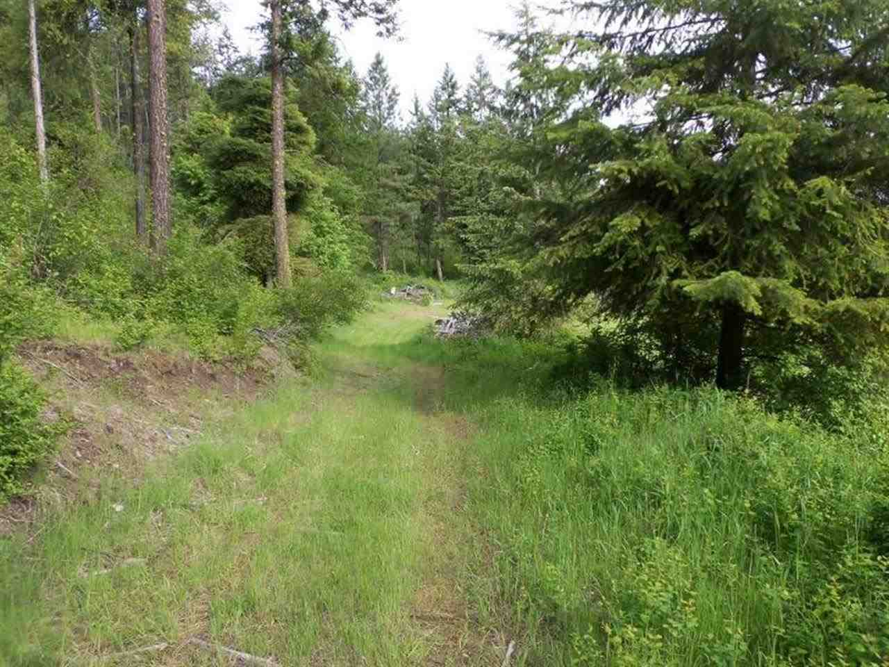 Tbd Anderson Road North Gifford, WA 99131 - Photo 4 of 19