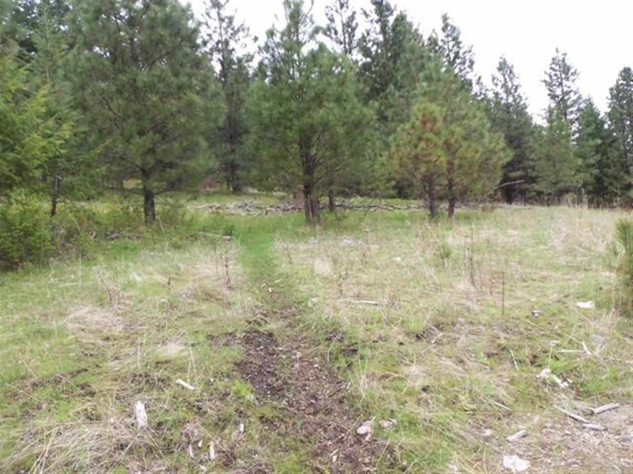 Tbd Anderson Road North Gifford, WA 99131 - Photo 5 of 19