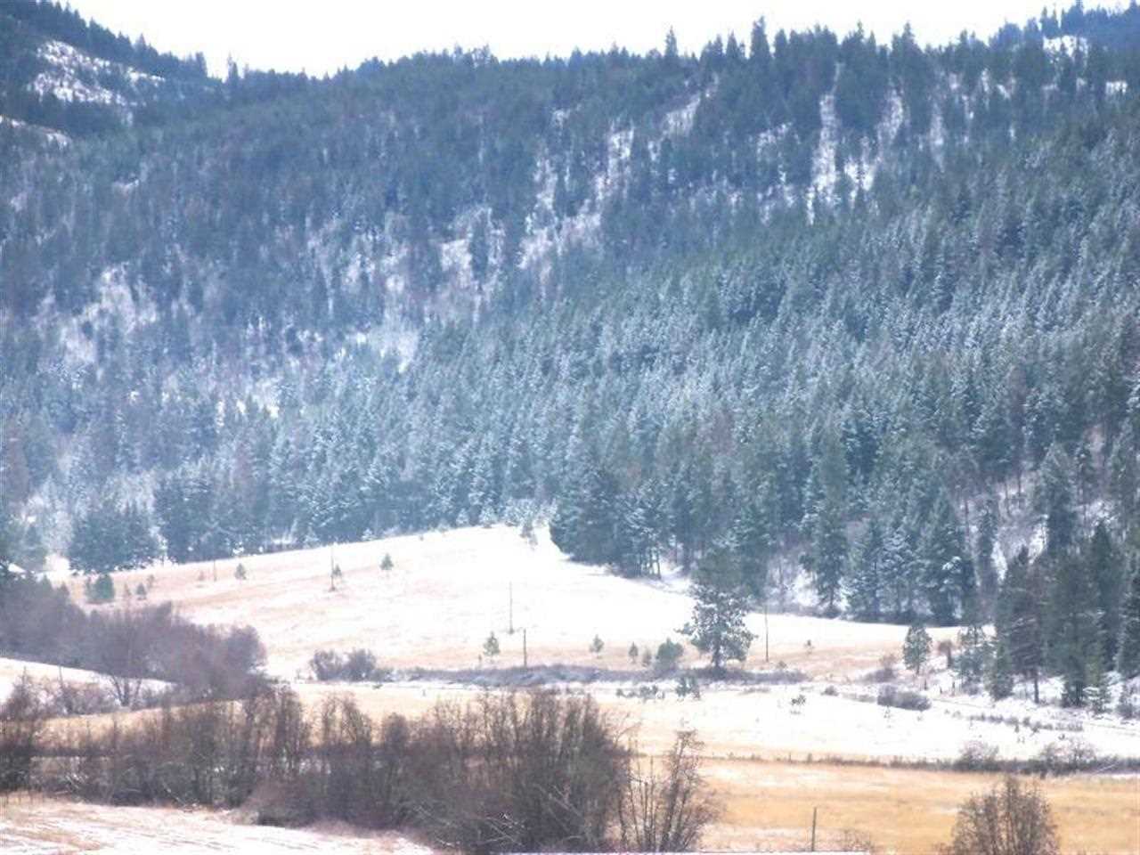 Tbd Anderson Road North Gifford, WA 99131 - Photo 6 of 19