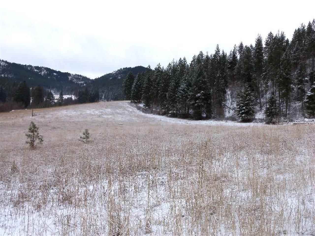 Tbd Anderson Road North Gifford, WA 99131 - Photo 8 of 19