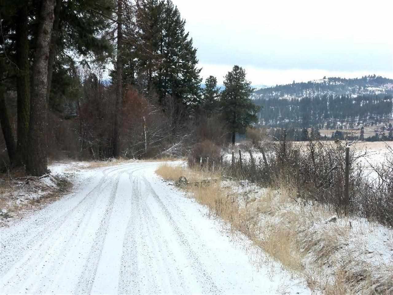 Tbd Anderson Road North Gifford, WA 99131 - Photo 9 of 19