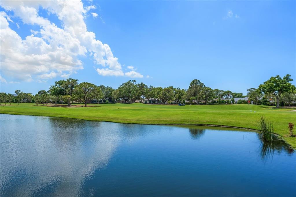 19 Hibiscus Road Belleair, FL 33756 - Photo 5 of 44 a view of a lake with a big yard