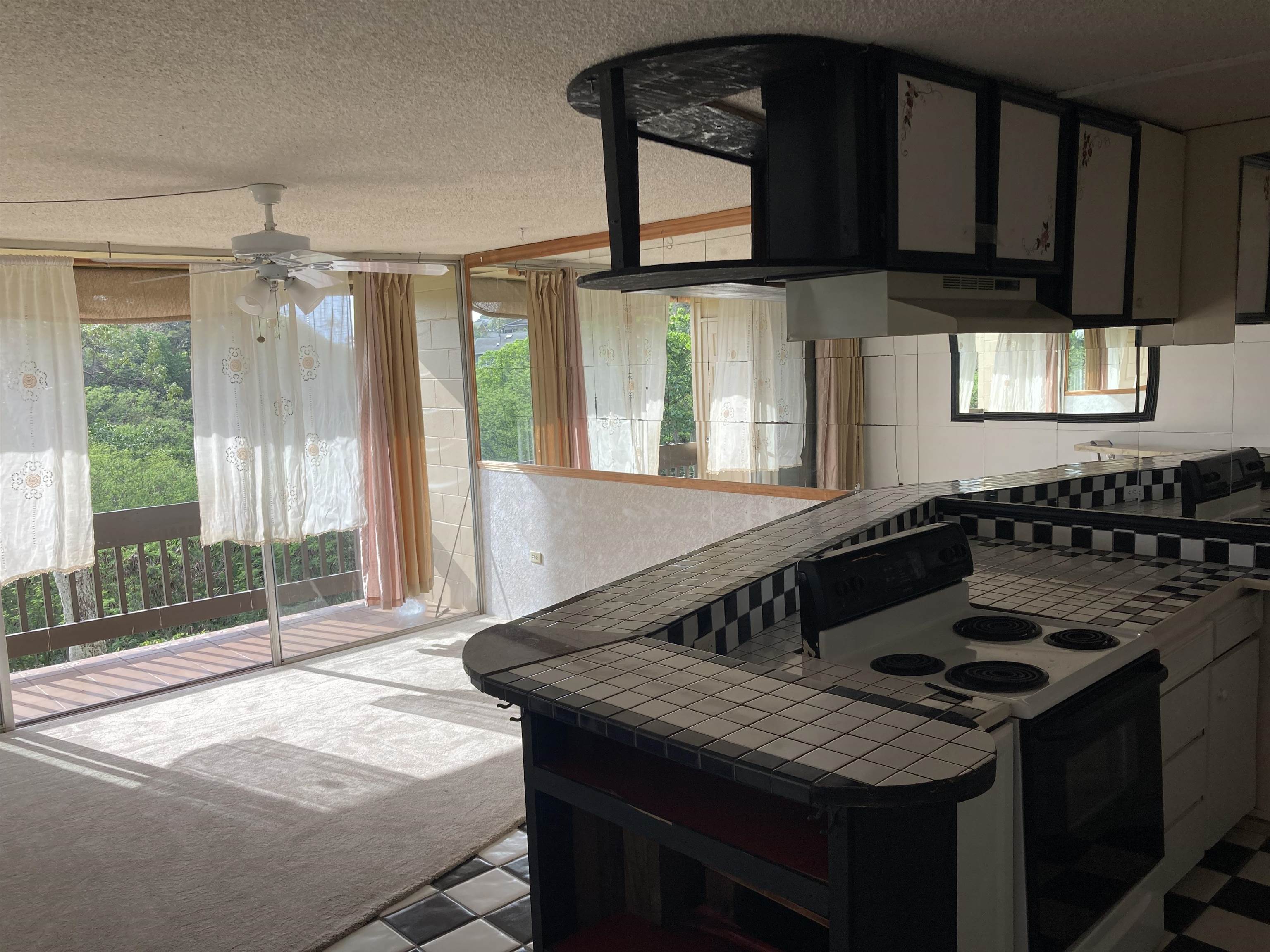 120 Hui Rd F, Unit E13 Lahaina, HI 96761 - Photo 9 of 12