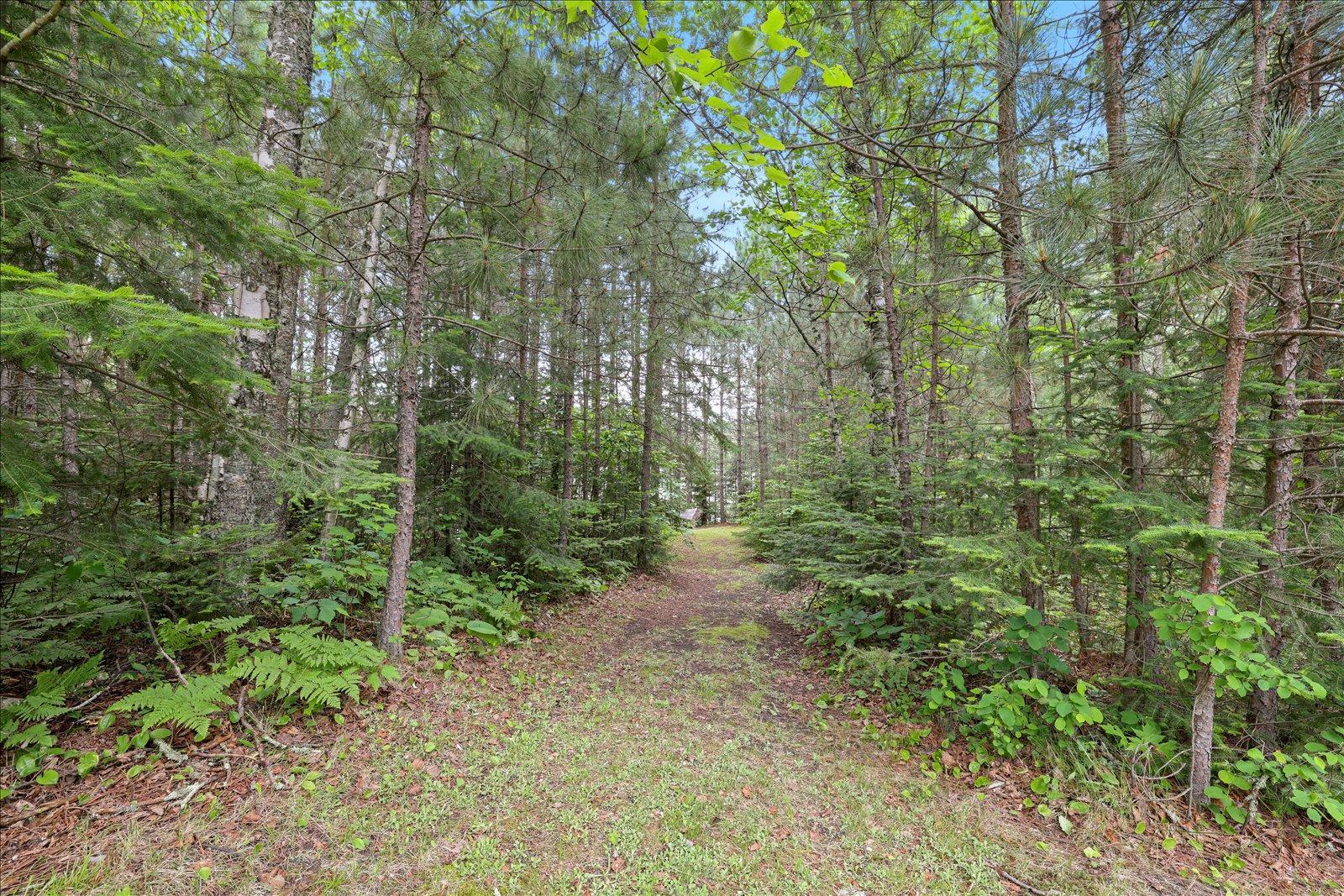 51946 North Wasson Lake Road Bigfork, MN 56628 - Photo 32 of 52