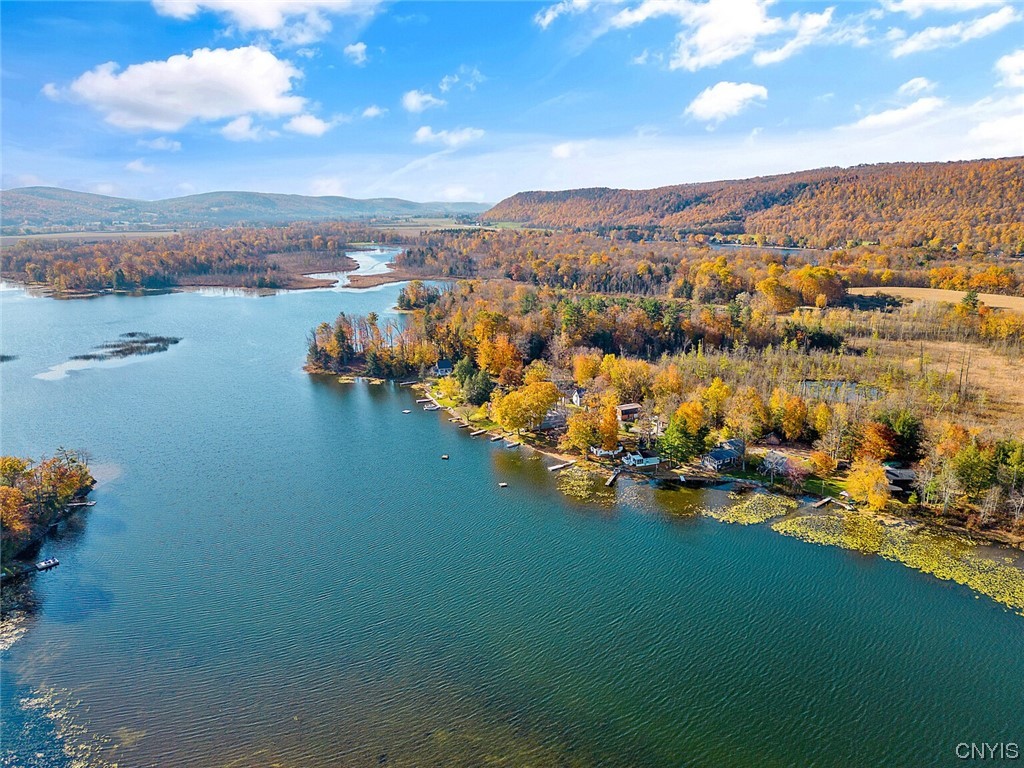 160 Evans Rd Extension Tully, NY 13159 - Photo 31 of 46 Pretty as a picture