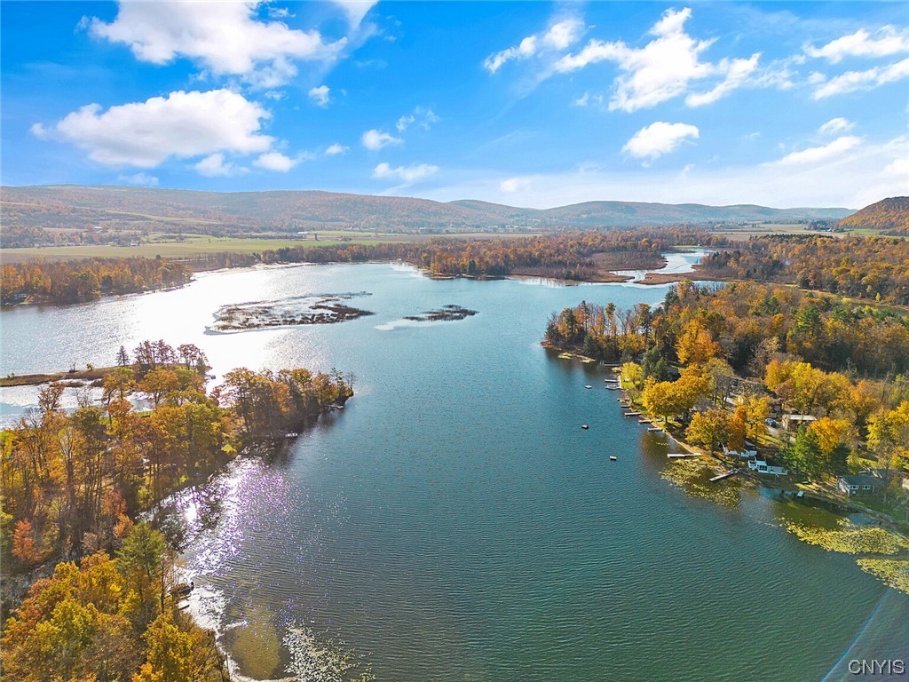 160 Evans Rd Extension Tully, NY 13159 - Photo 38 of 46 Tully Lake, so close... but you feel like you are