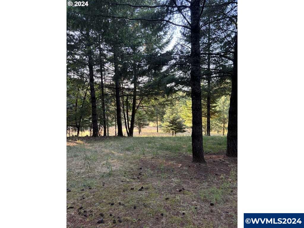 436096 May Road Dallas, OR 97338 - Photo 3 of 8