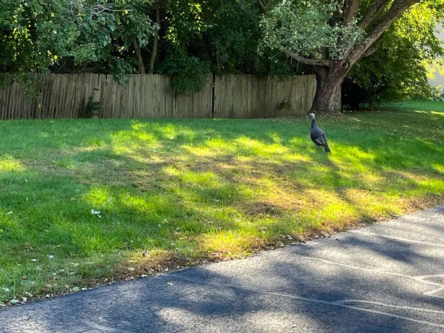 $1,300 | 7210 Century Place, Unit 7210, Middleton, WI 53562