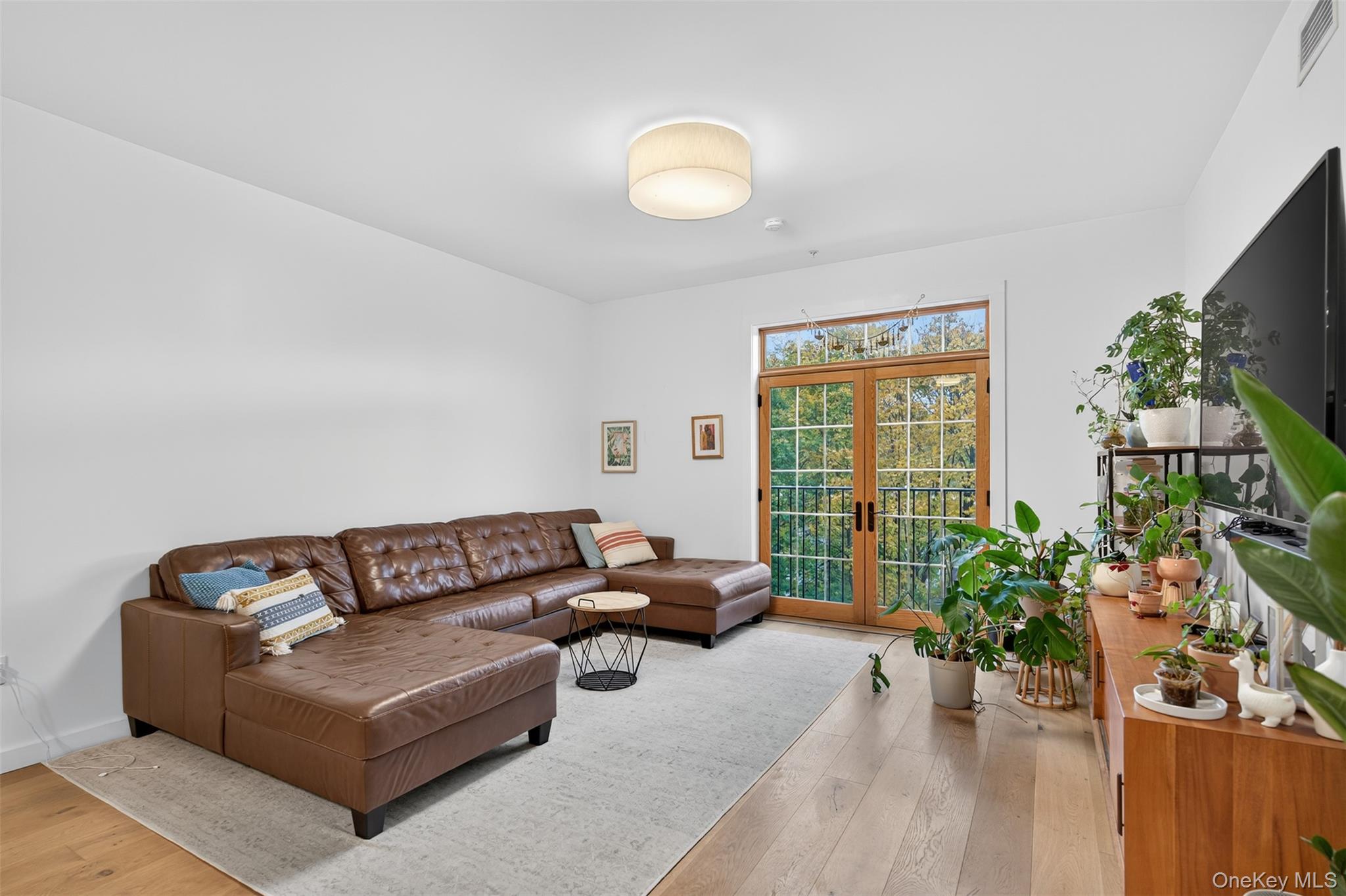 249 Main Street, Unit 305 Beacon, NY 12508 - Photo 13 of 36 Living room with light wood-type flooring and french doors