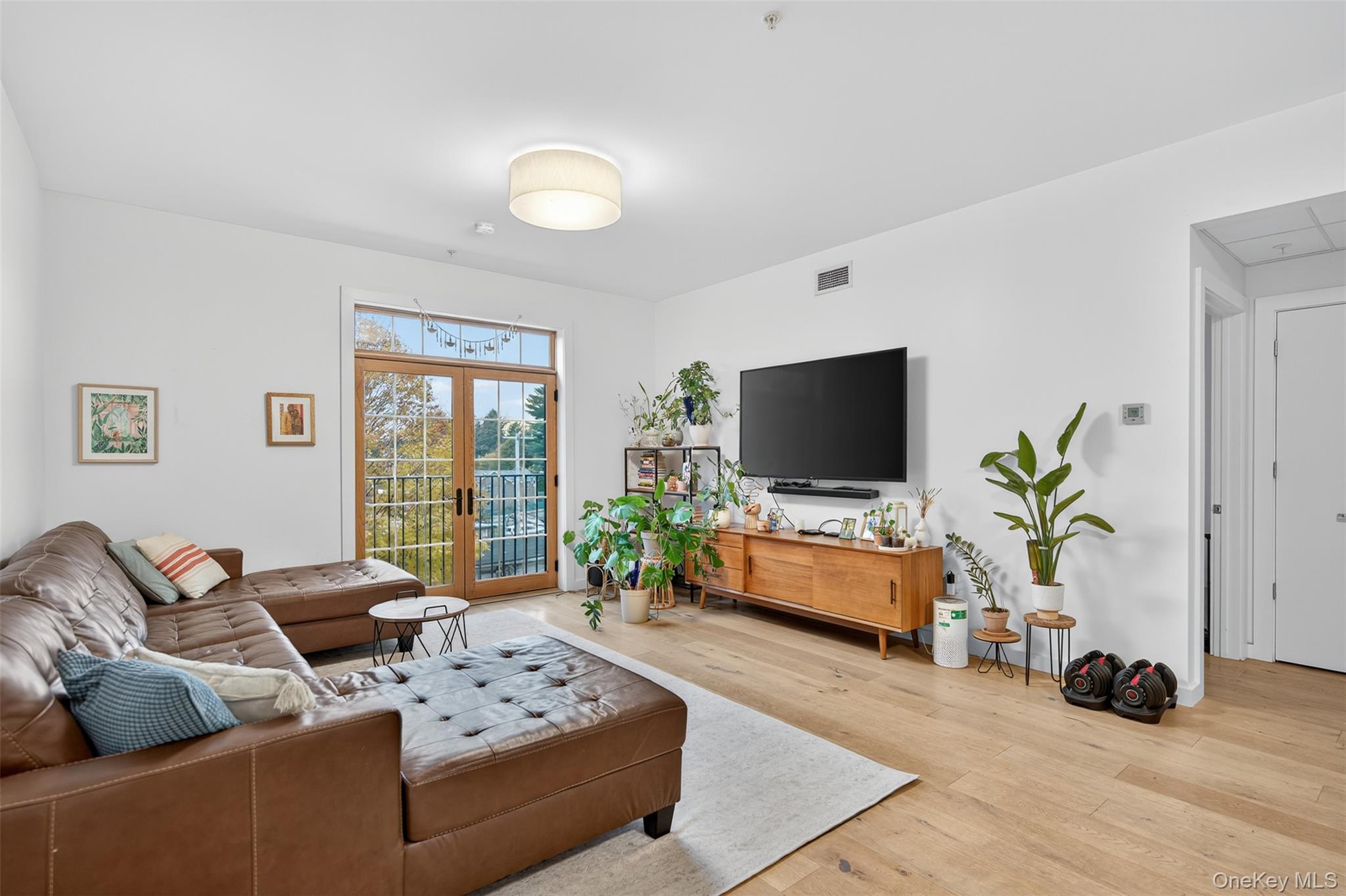 249 Main Street, Unit 305 Beacon, NY 12508 - Photo 14 of 36 Living room featuring wood finished floors and french doors