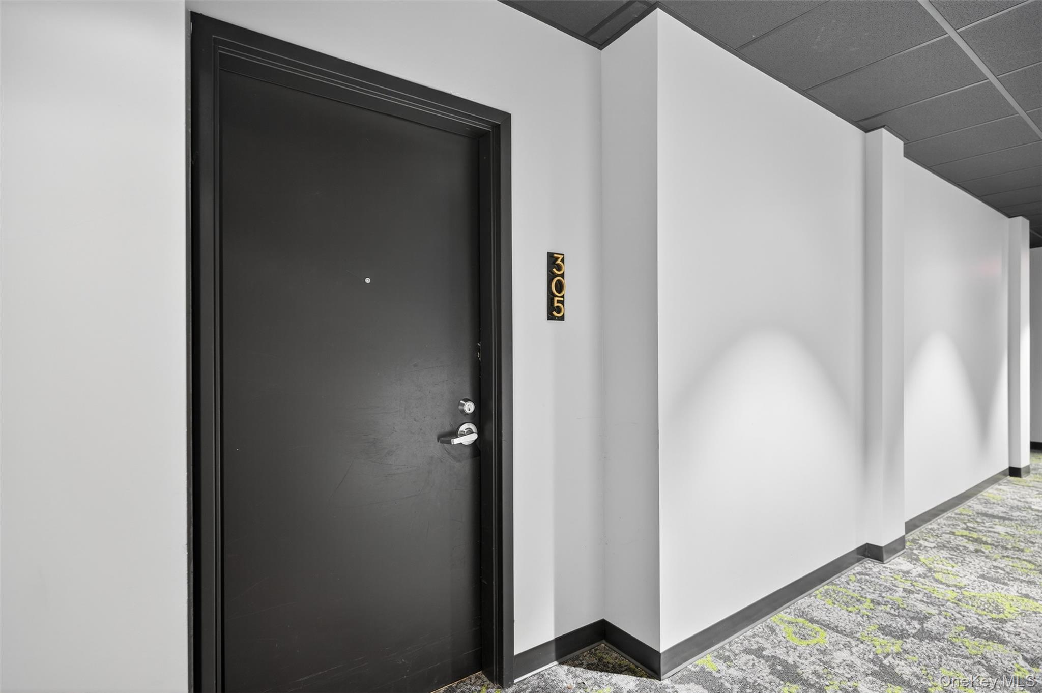 249 Main Street, Unit 305 Beacon, NY 12508 - Photo 2 of 36 Property entrance