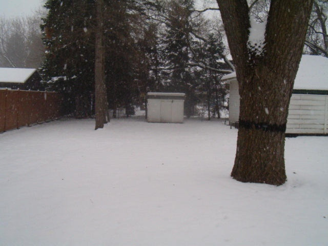 3279 Heights Ravenna Road Muskegon, MI 49444 - Photo 45 of 48 46
