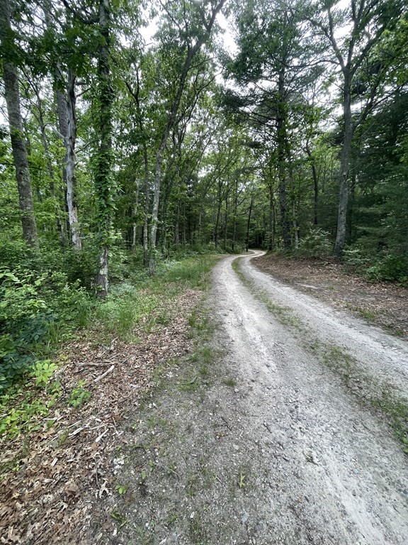 24 Miller Farm Road Mashpee, MA 02649 - Photo 24 of 28 a view of a yard with a trees