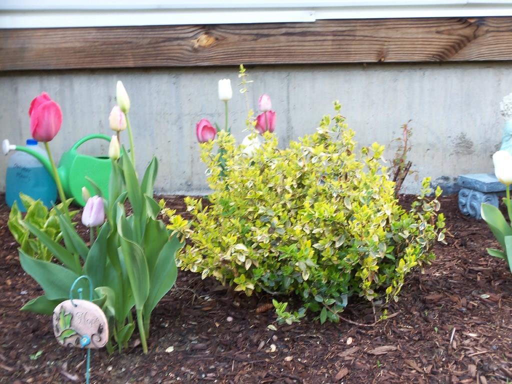 658 Pleasant View Ridge Road China, ME 04358 - Photo 14 of 17 landscaping
