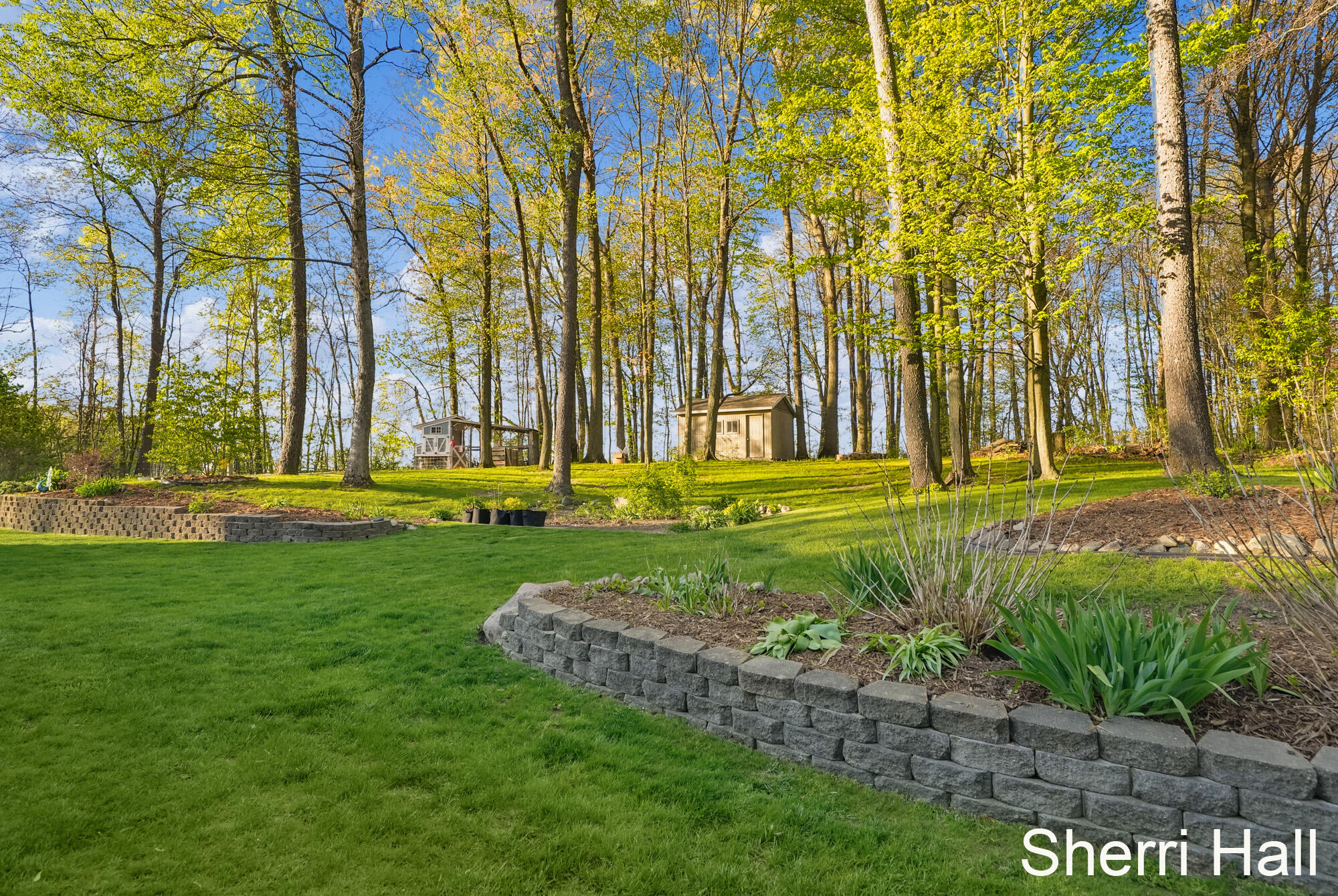 7861 West County Line Road Greenville, MI 48838 - Photo 33 of 41 Wooded setting