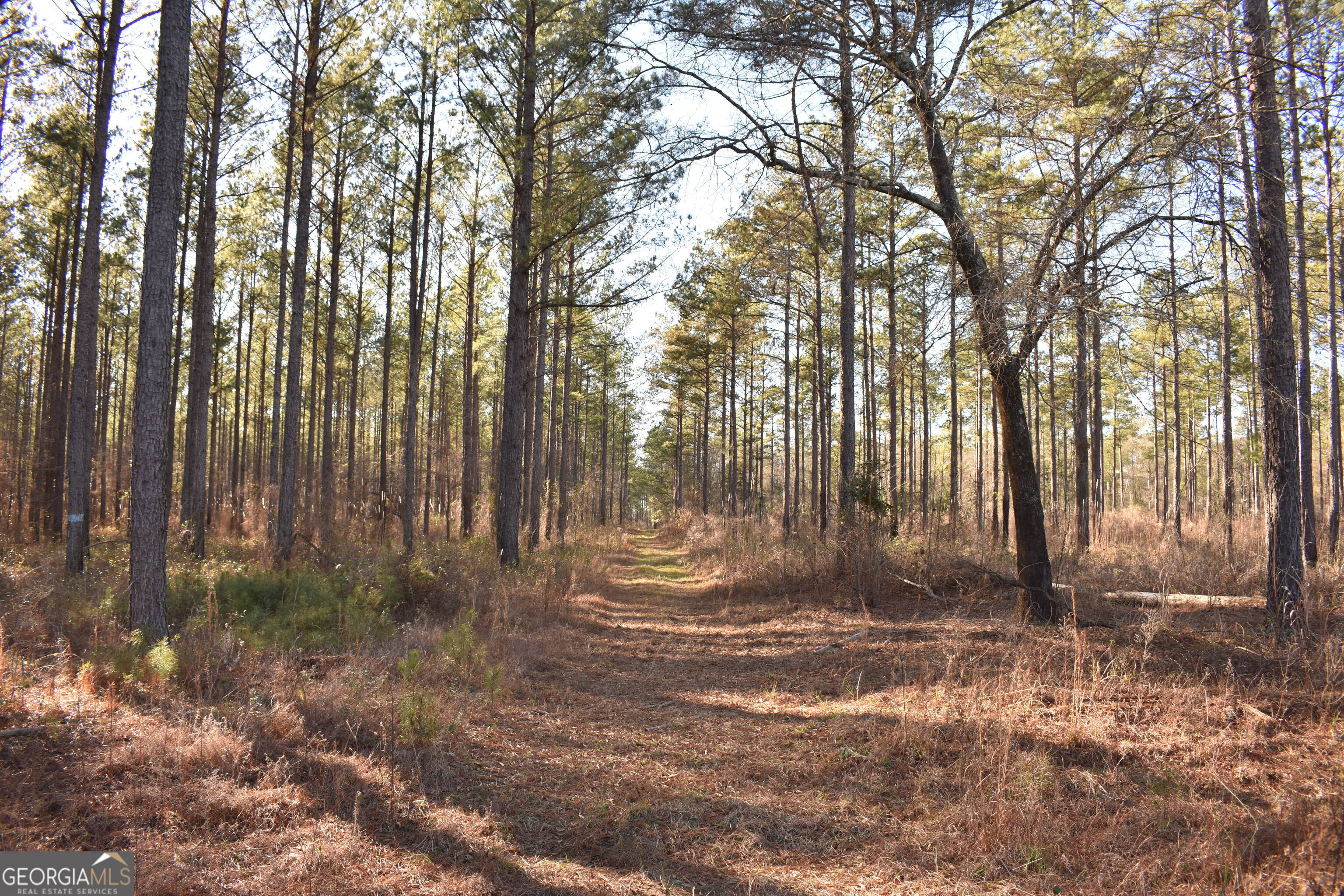 a view of backyard space