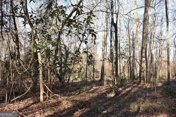 a backyard of a house with lots of trees