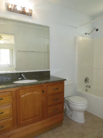 a bathroom with a granite countertop sink a large mirror and a bathtub