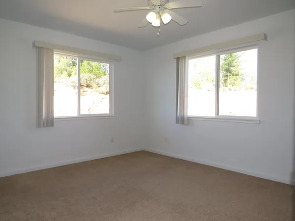 a view of a backyard with plants