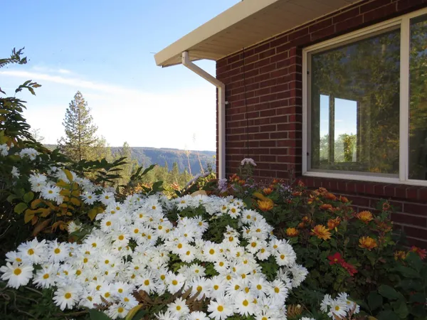 $895,000 | 31180 Knob Cone Road, Gold Run, CA 95717