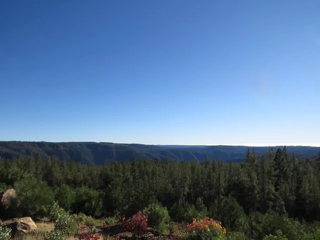 $925,000 | 31180 Knob Cone Road, Gold Run, CA 95717