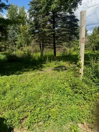 $140,000 | Parcel B Maple Grove, Hastings, MI 49058