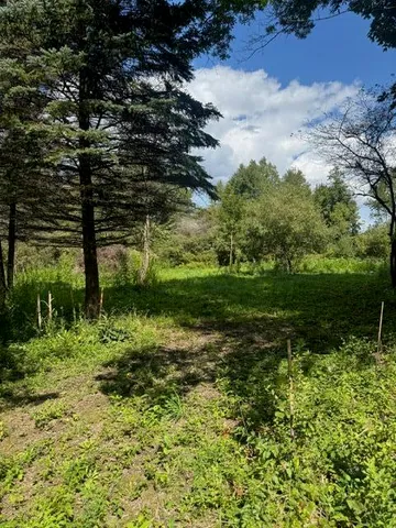 $140,000 | Parcel B Parcel B Maple Grove, Hastings, MI 49058