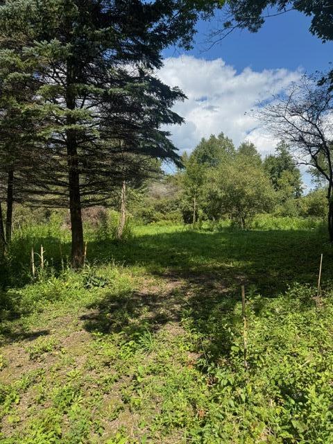 Parcel B Maple Grove Hastings, MI 49058 - Photo 3 of 9 MAple 3