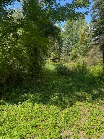 $140,000 | Parcel B Parcel B Maple Grove, Hastings, MI 49058