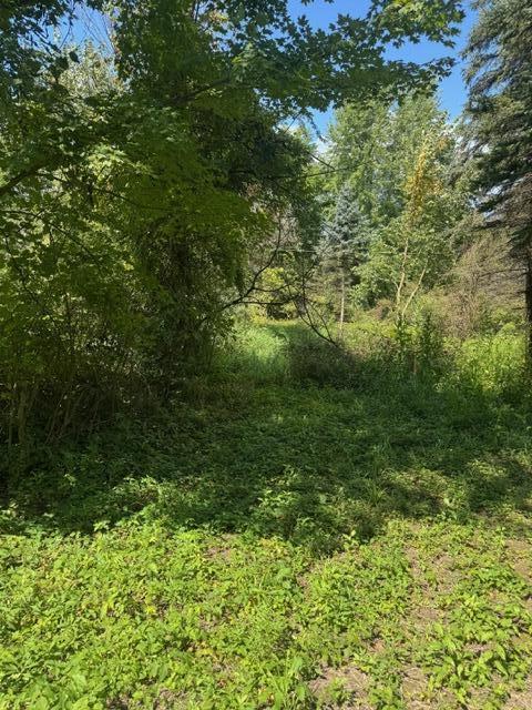 Parcel B Maple Grove Hastings, MI 49058 - Photo 4 of 9 Maple 4