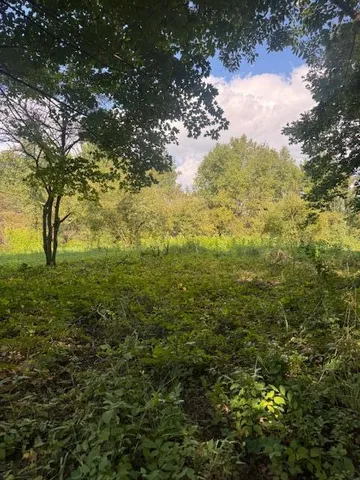 $140,000 | Parcel B Parcel B Maple Grove, Hastings, MI 49058