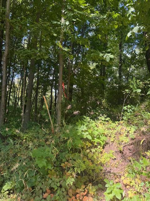 Parcel B Maple Grove Hastings, MI 49058 - Photo 7 of 9 maple 7