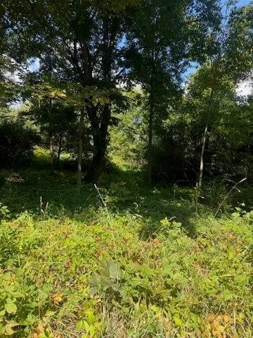 $140,000 | Parcel B Parcel B Maple Grove, Hastings, MI 49058